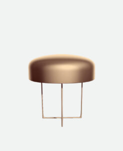 Product Name 12 – Image 2
