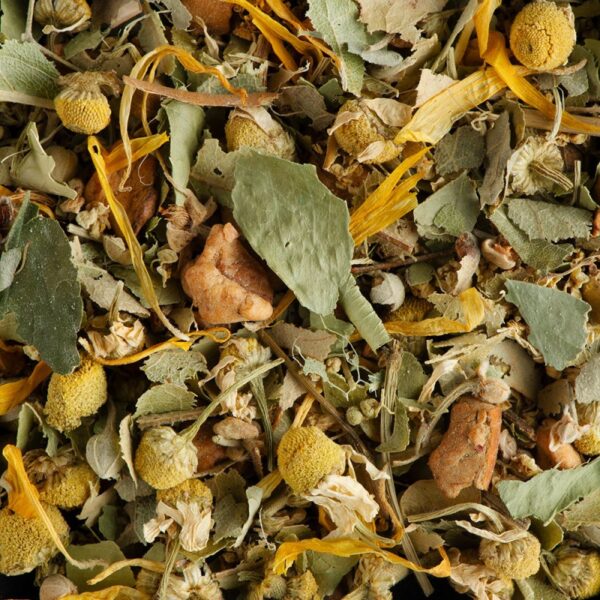 Tisane fleur d'oranger 50 g DAMMANN FRERES