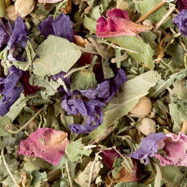 Tisane des merveilles 50 g DAMMANN FRERES