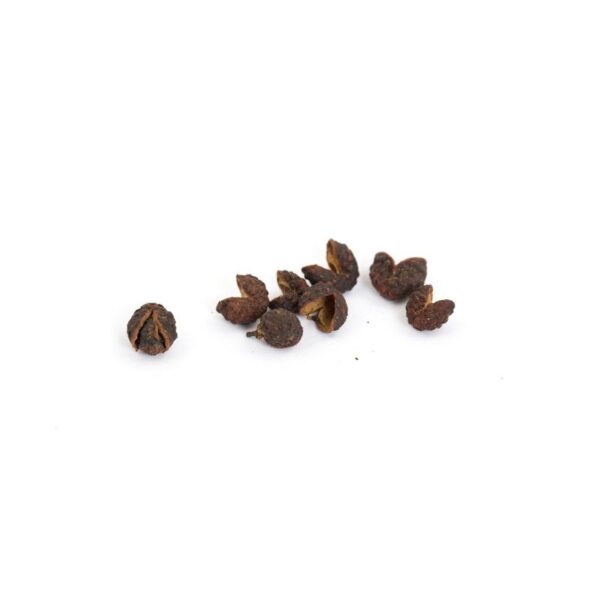 Baie timur 40g TERRE EXOTIQUE