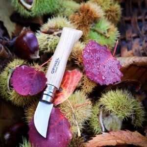 Opinel n°07 Châtaigne ail et dénoyautage
