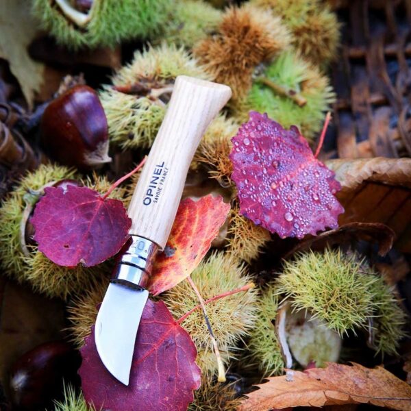 Opinel n°07 Châtaigne ail et dénoyautage