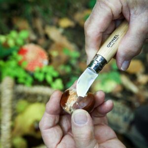 Opinel n°07 Châtaigne ail et dénoyautage