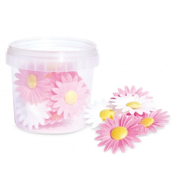 Déco azyme 18 marguerites SCRAPCOOKING