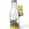 Mélange pour "Limoncello" (Citron) QUAI SUD