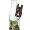 Mélange pour Rhum Arrangé "Pirate Mix" QUAI SUD